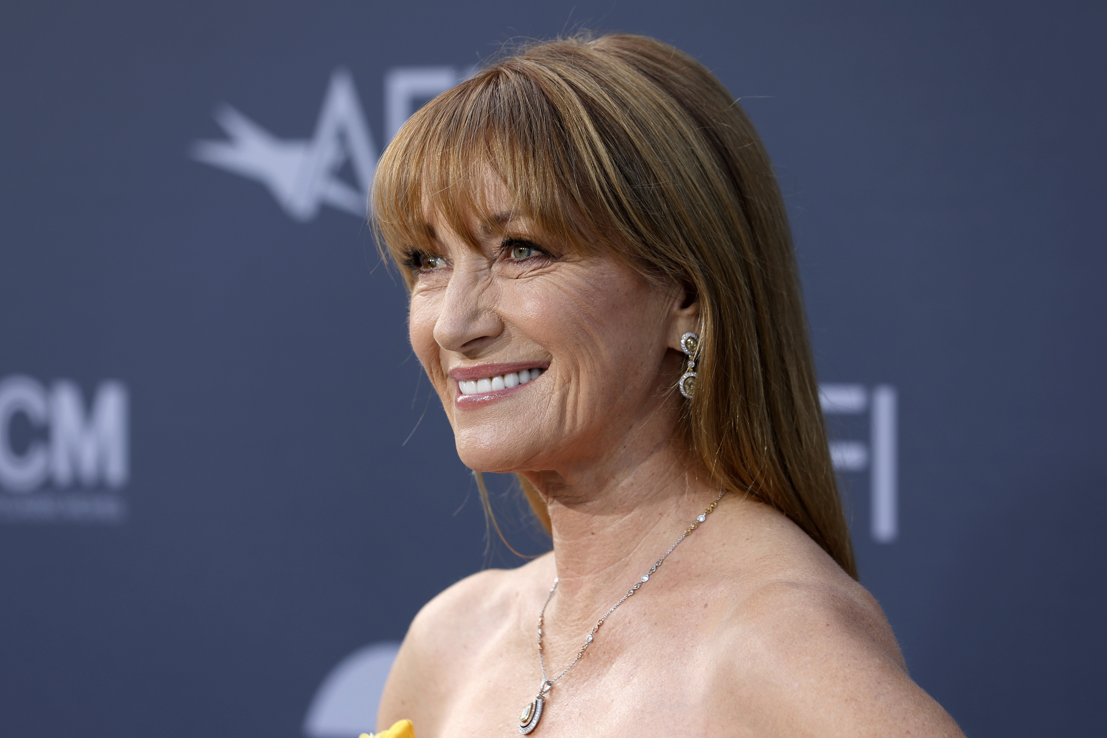 Jane Seymour attends the 48th AFI Life Achievement Award Gala Tribute celebrating Julie Andrews at Dolby Theatre on June 09, 2022 in Hollywood, California | Source: Getty Images