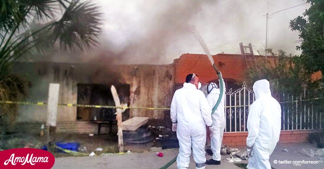 Ein Haus voller gefährlicher Insekten wurde verbrannt, nachdem die Familie an einer schweren Infektion verstarb