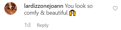 A fans comment on Sharon Osbourne's Instagram post. | Source: Instagram/sharonosbourne