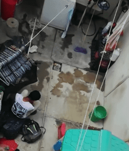 Diego assis par terre / Source : YouTube/Primer Impacto