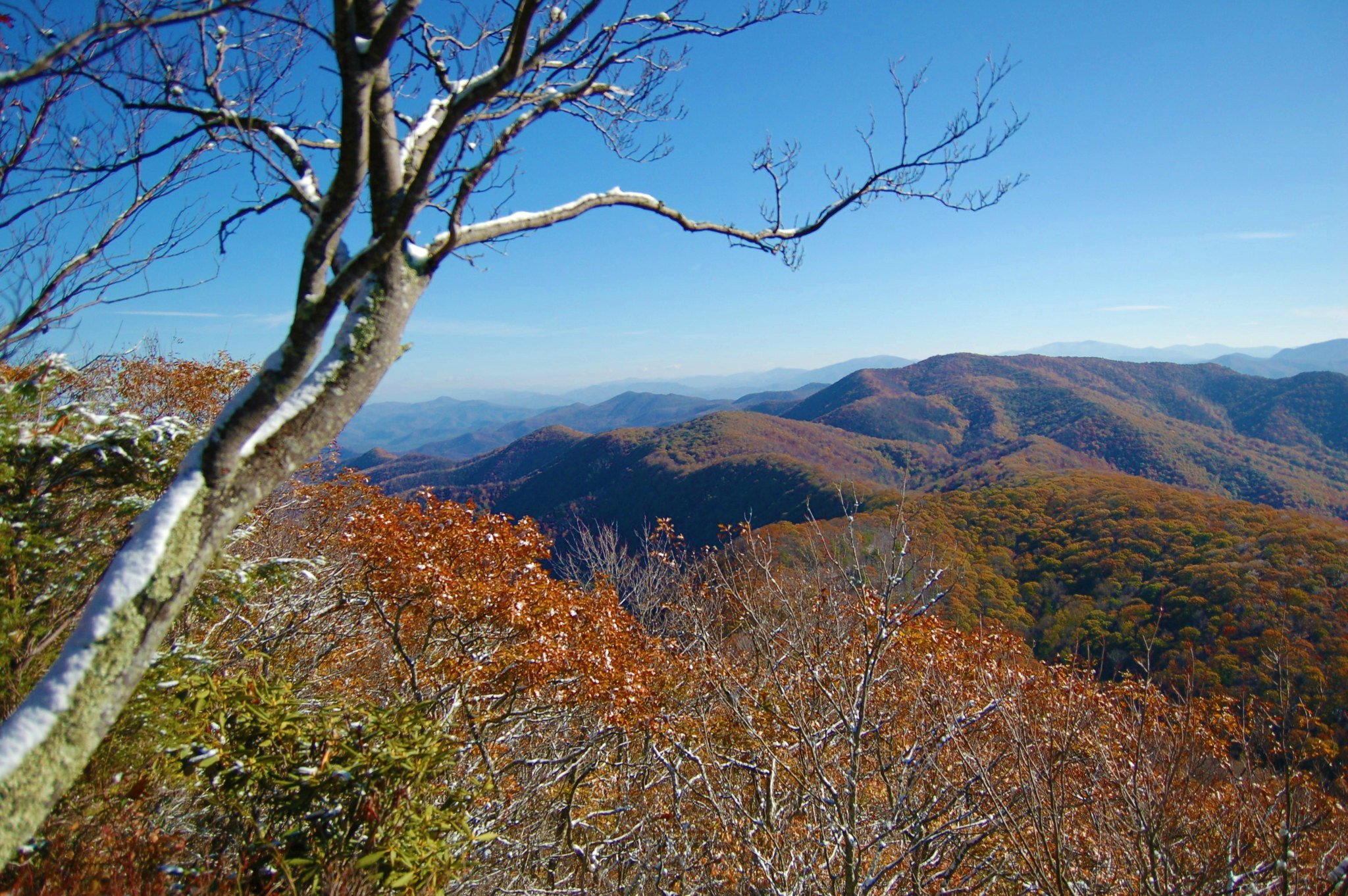 Rocky Fork on a clear day located in the Unaka Ranger District of the Cherokee National Forest on April 14, 2015 | Photo: Flickr/USDA Forest Service Photo