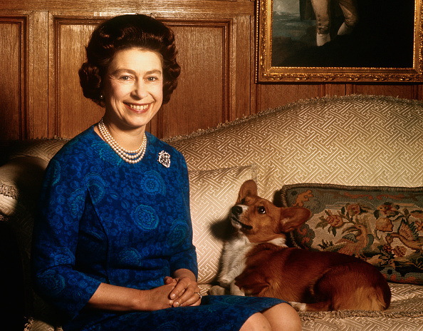 Image Credit: Getty Images Image Credit: Getty Images