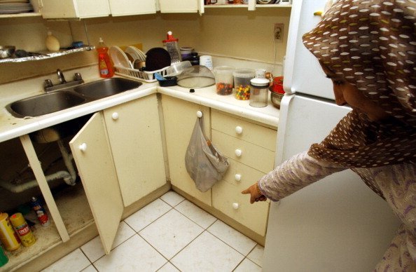 An elderly woman points out cockroaches surrying across the floor of her kitchen | Photo: Getty Images