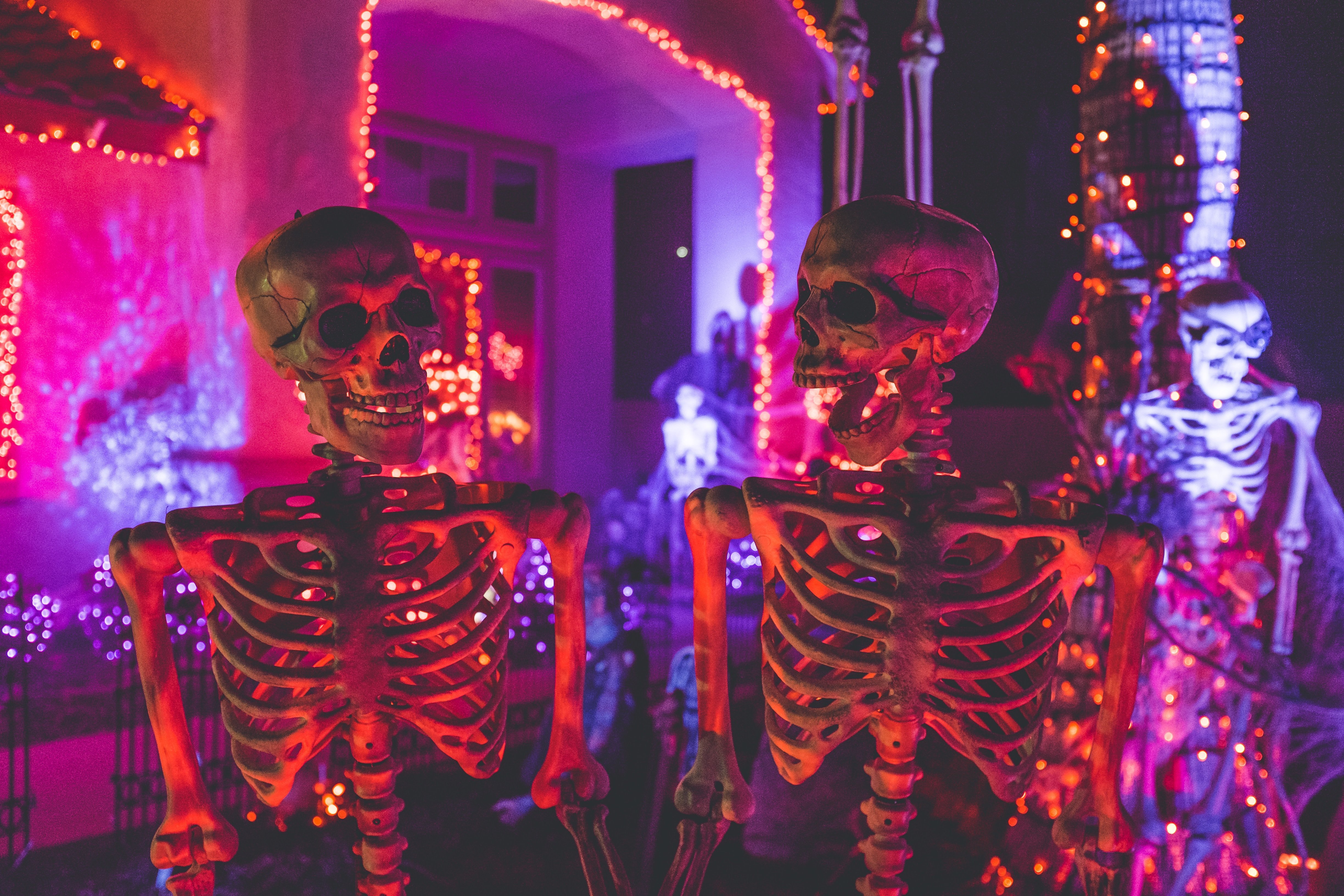 A stunning picture of Halloween decorations | Photo by NeONBRAND on Unsplash