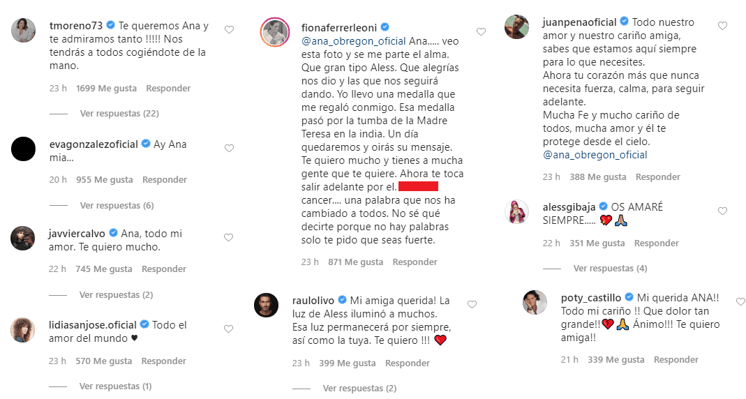 Comentarios recibidos por Ana. |Foto: Captura de pantalla de Instagram/ana_obregon_oficial