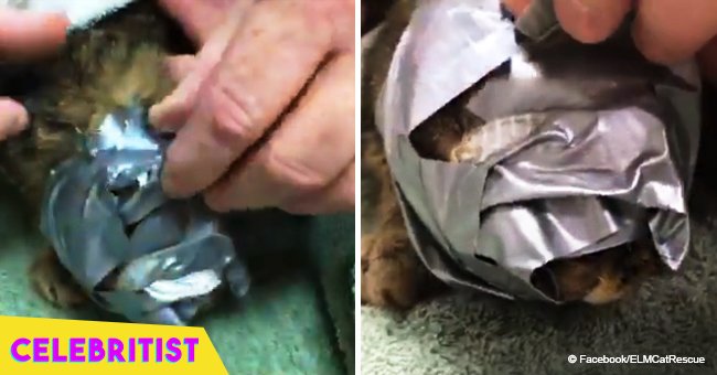 Woman finds cat with duct-tape wrapped around it's head and knows she's running out of time