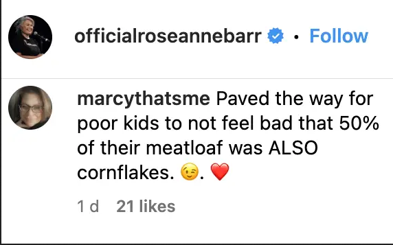 Screenshot of a fan's comment on Roseanne Barr's post. | Source: officialroseannebarr