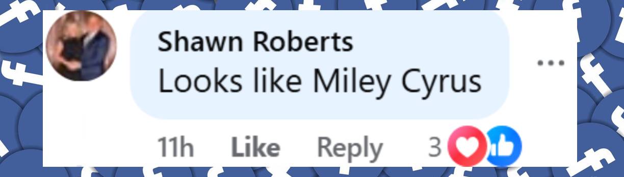 A netizen comment dated December 2, 2025. | Source: Facebook/PageSix