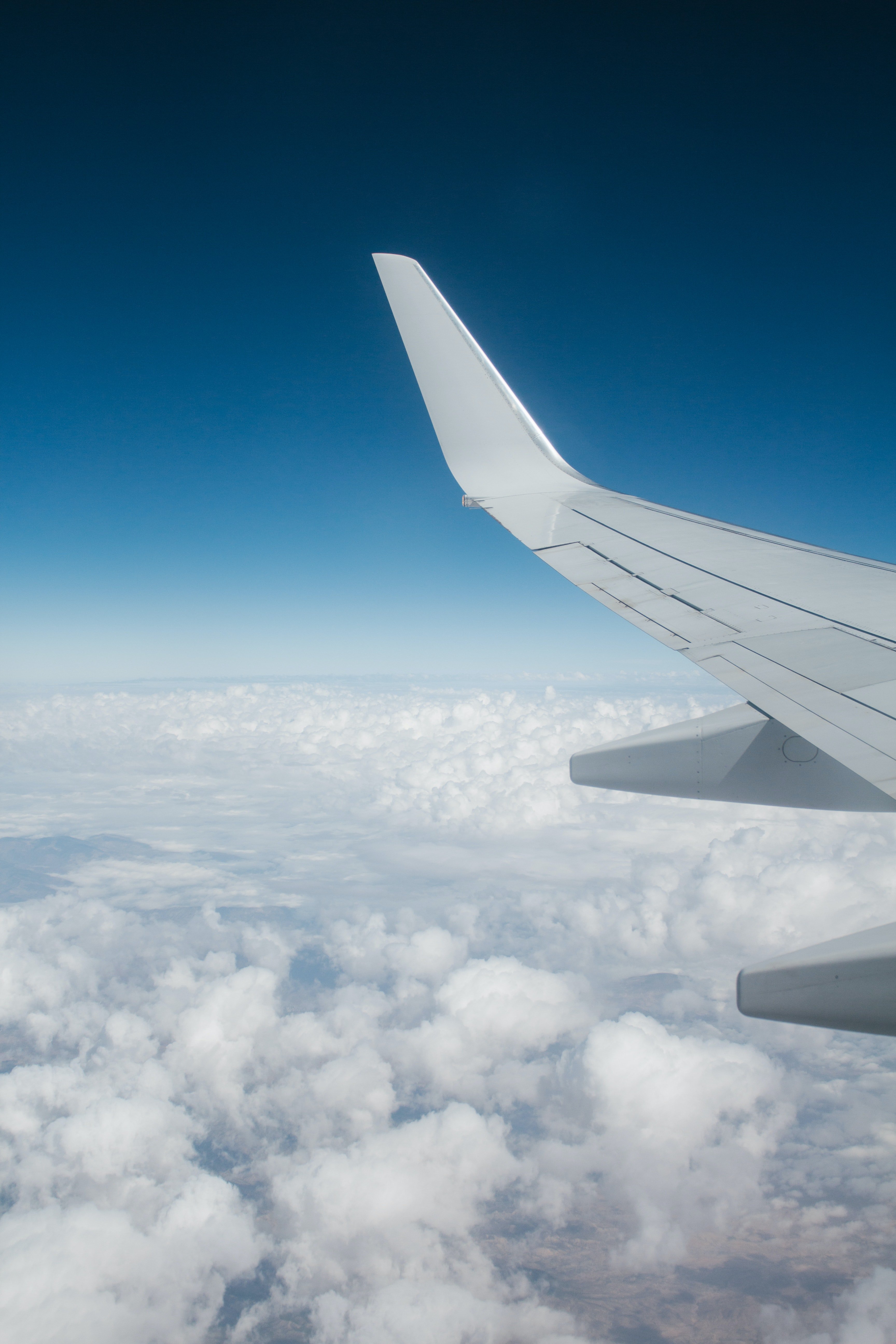 Diana flew back to California without knowing when she would see Adam again. | Photo: Pexels