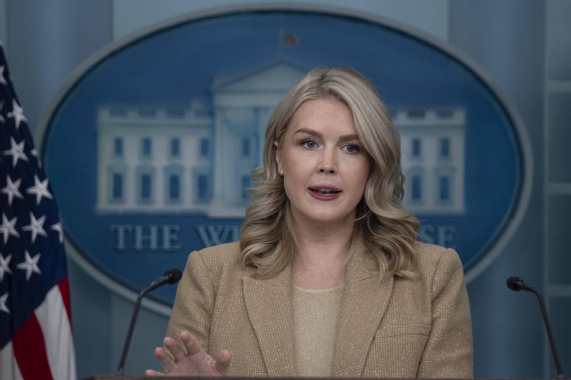 The White House Press Secretary Karoline Leavitt speaks at a press briefing room in Washington D.C., on December 1, 2025 | Source: Getty Images