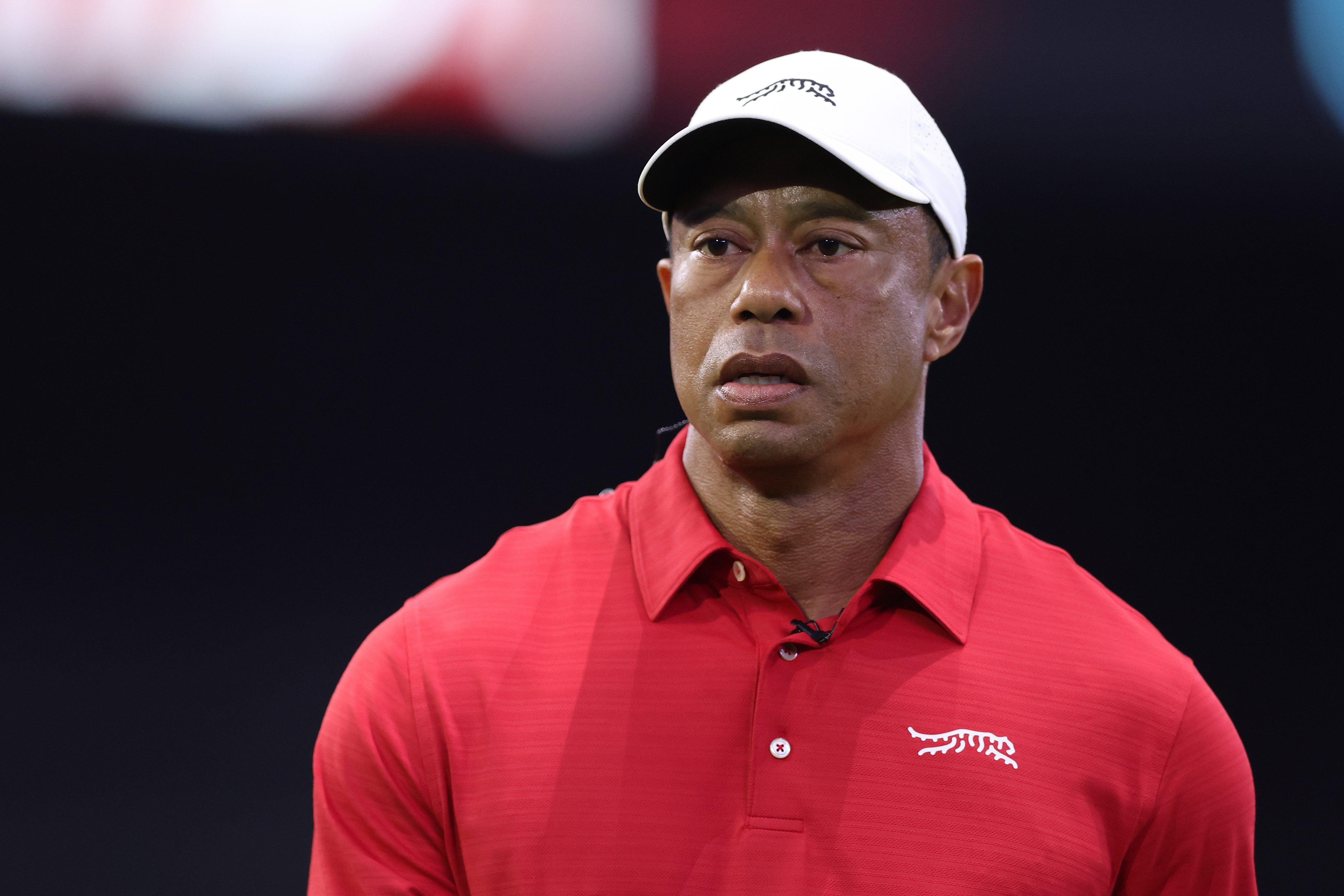Tiger woods. | Source: Getty Images