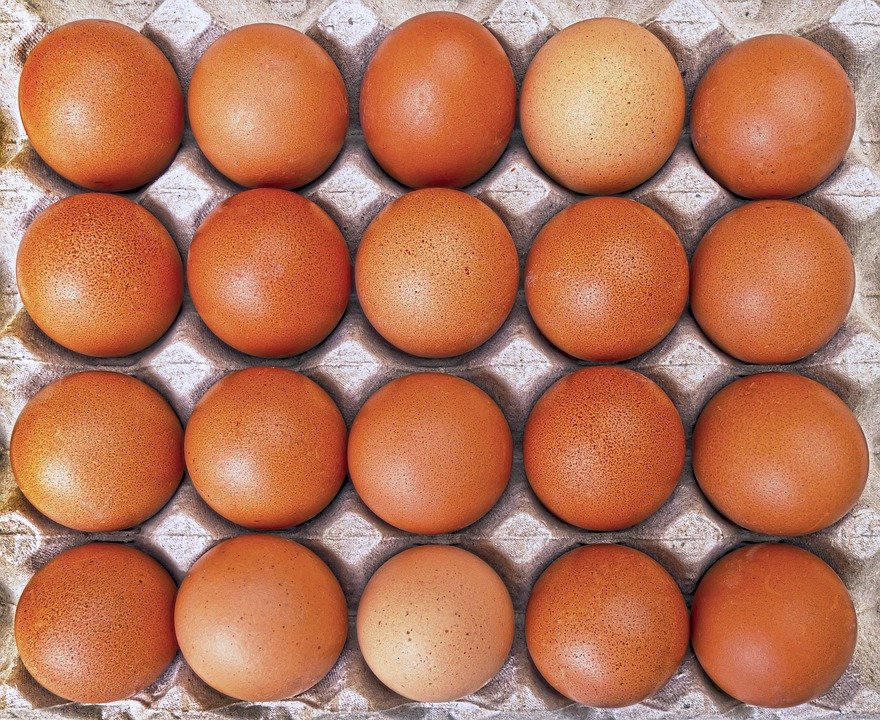 Huevos. | Foto: Pixabay