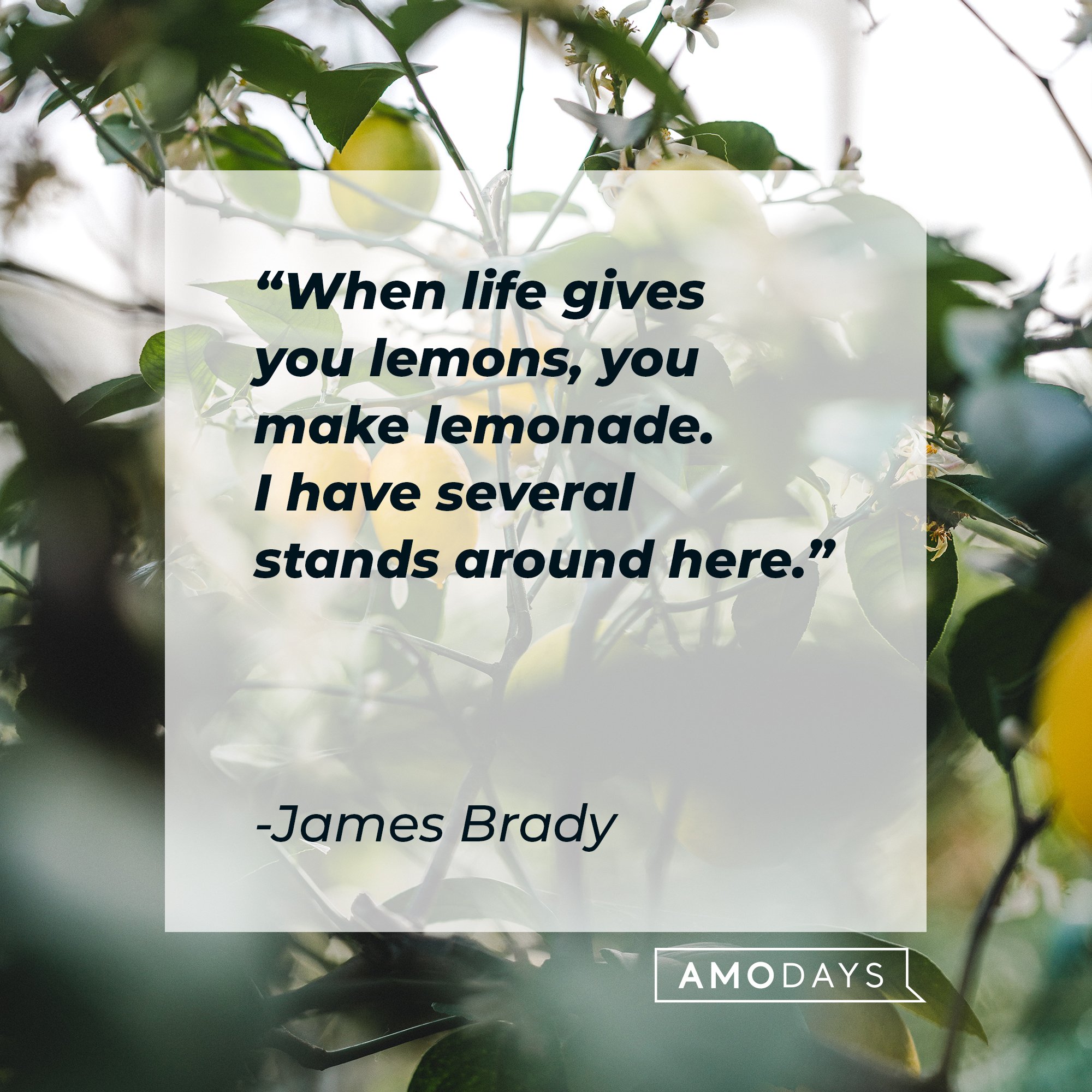 Grace Helbig’s quote: "When life gives you lemons, you exchange them at the store for something more edible.”  | Image: AmoDays 