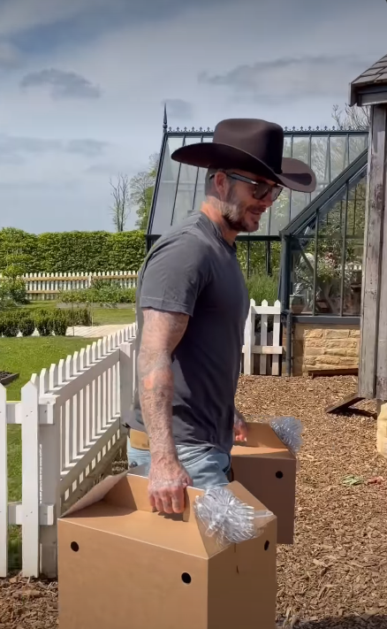 David Beckham walking toward his chicken coop with two carton boxes in his hands | Source: Instagram/victoriabeckham