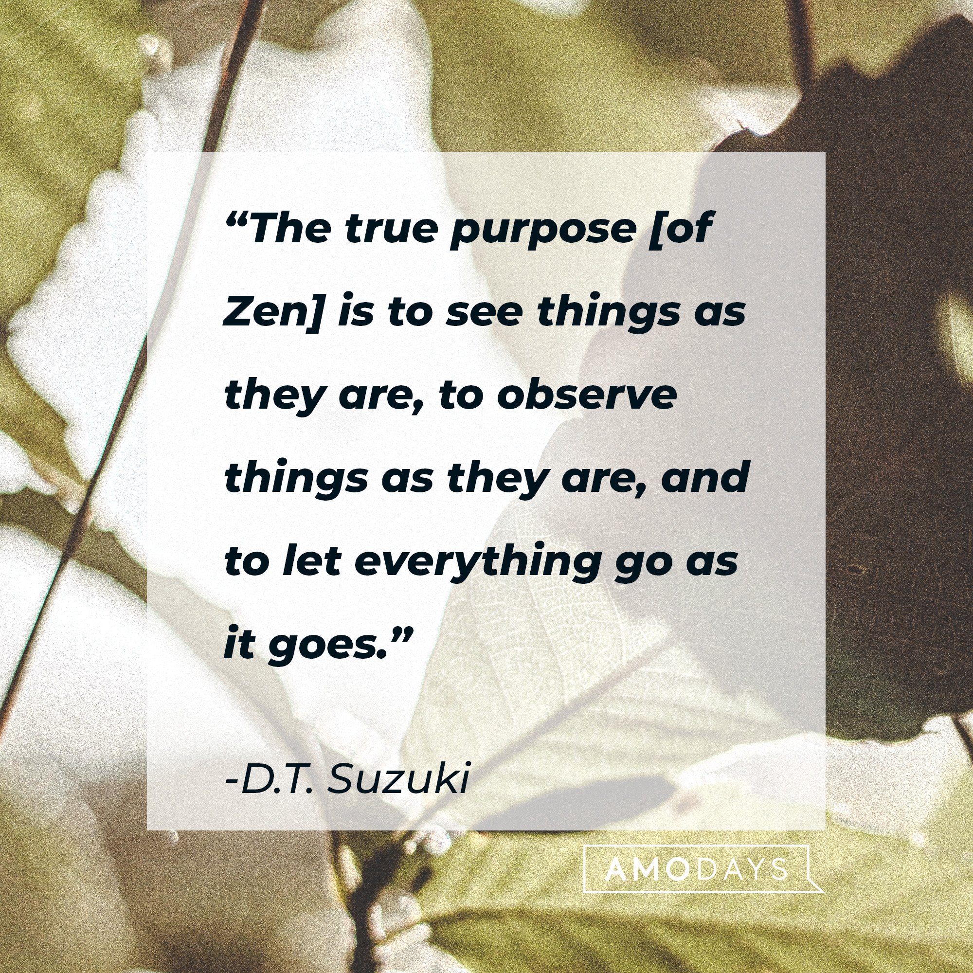 D.T. Suzuki's quote: “The true purpose [of Zen] is to see things as they are, to observe things as they are, and to let everything go as it goes.” | Image: AmoDays