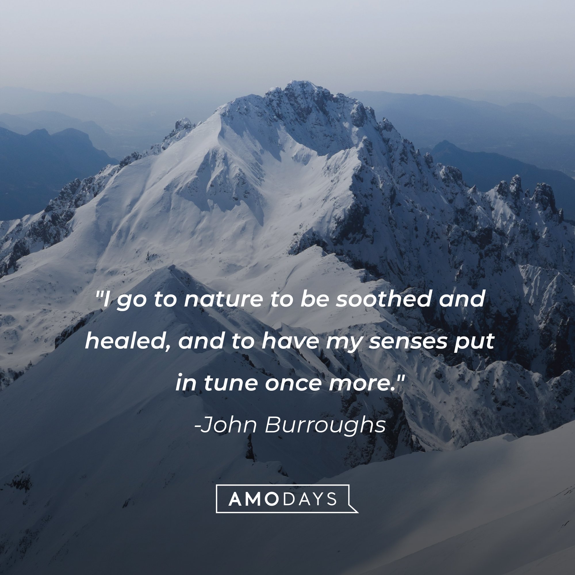 John Burroughs' quote: "I go to nature to be soothed and healed, and to have my senses put in tune once more." | Image: AmoDays