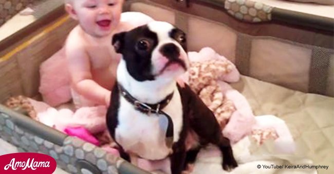 Puppy and baby girl turn crib into their playground! Are they not super cute?