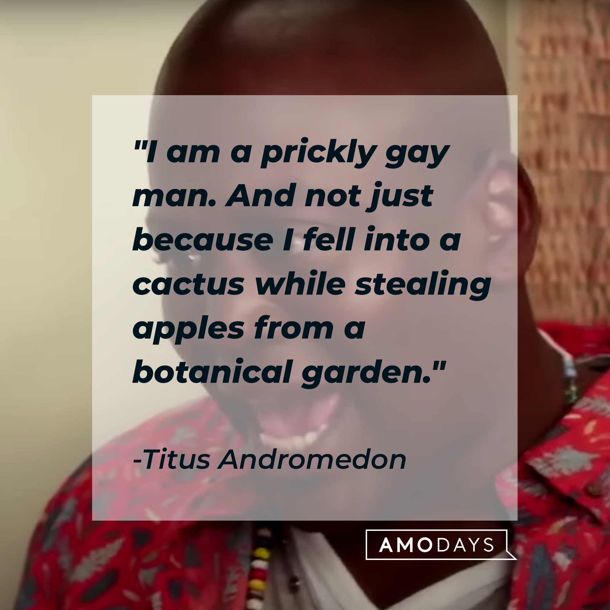 A photo of Titus Andromedon with the quote, "I am a prickly gay man. And not just because I fell into a cactus while stealing apples from a botanical garden."  | Source: YouTube/Netflix