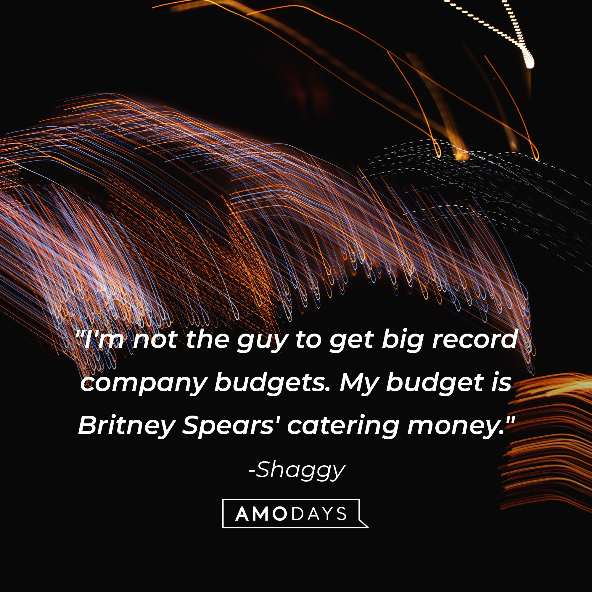 Shaggy's quote: "I'm not the guy to get big record company budgets. My budget is Britney Spears' catering money." | Image: AmoDays