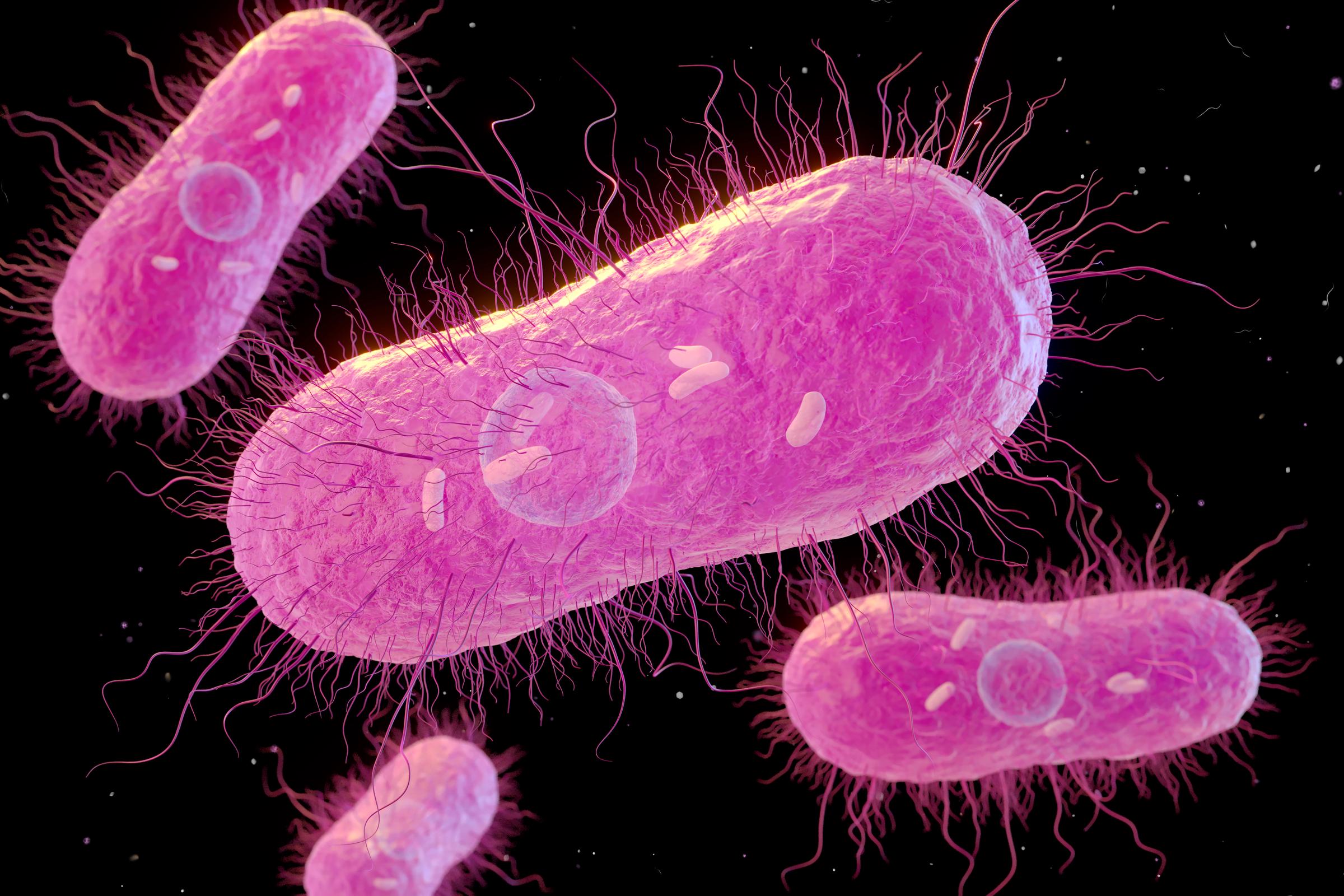 The Centers for Disease Control and Prevention estimates that roughly 450 people in the United States die each year from acute salmonellosis. | Source: Getty Images