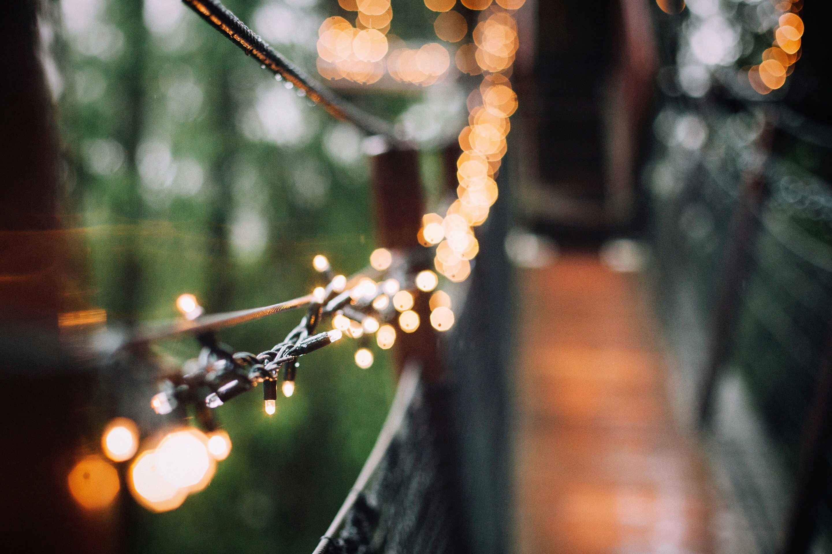 A blurry view of fairy lights | Source: Unsplash