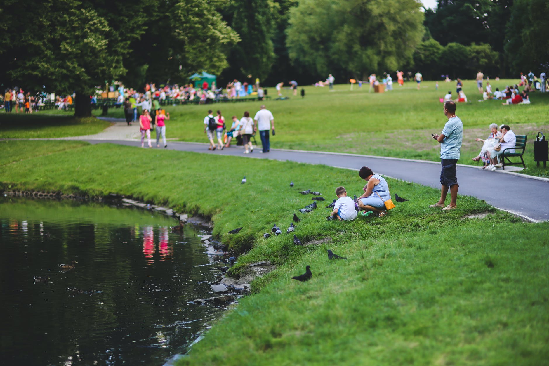Arthur's parks were enjoyed by everyone, and Paul had to do something. | Source: Pexels