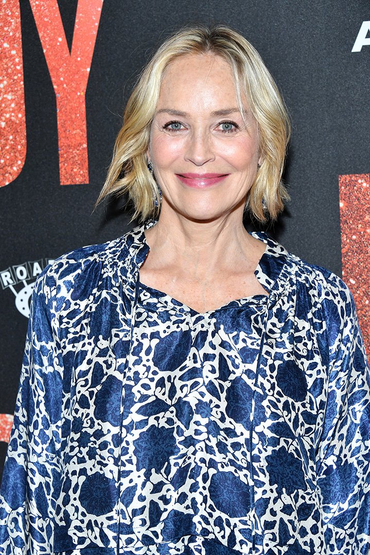 Sharon Stone at Samuel Goldwyn Theater in Beverly Hills, California in September 2019. | Photo: Getty Images