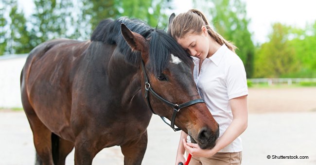 Girl pens tearful farewell to her horse who died of sugar overdose because of soulless burglars