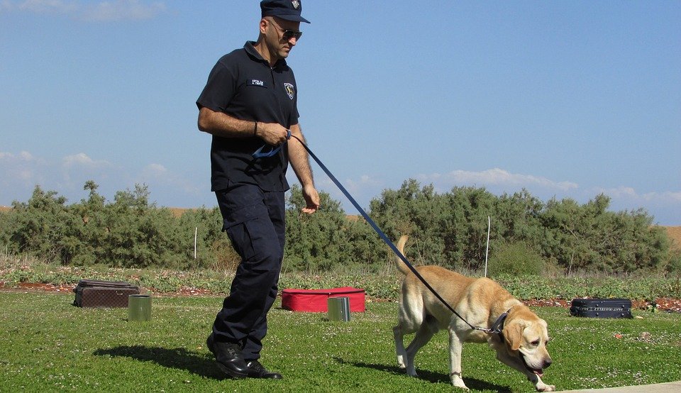 Policía paseando a perro. | Imagen: Pixabay