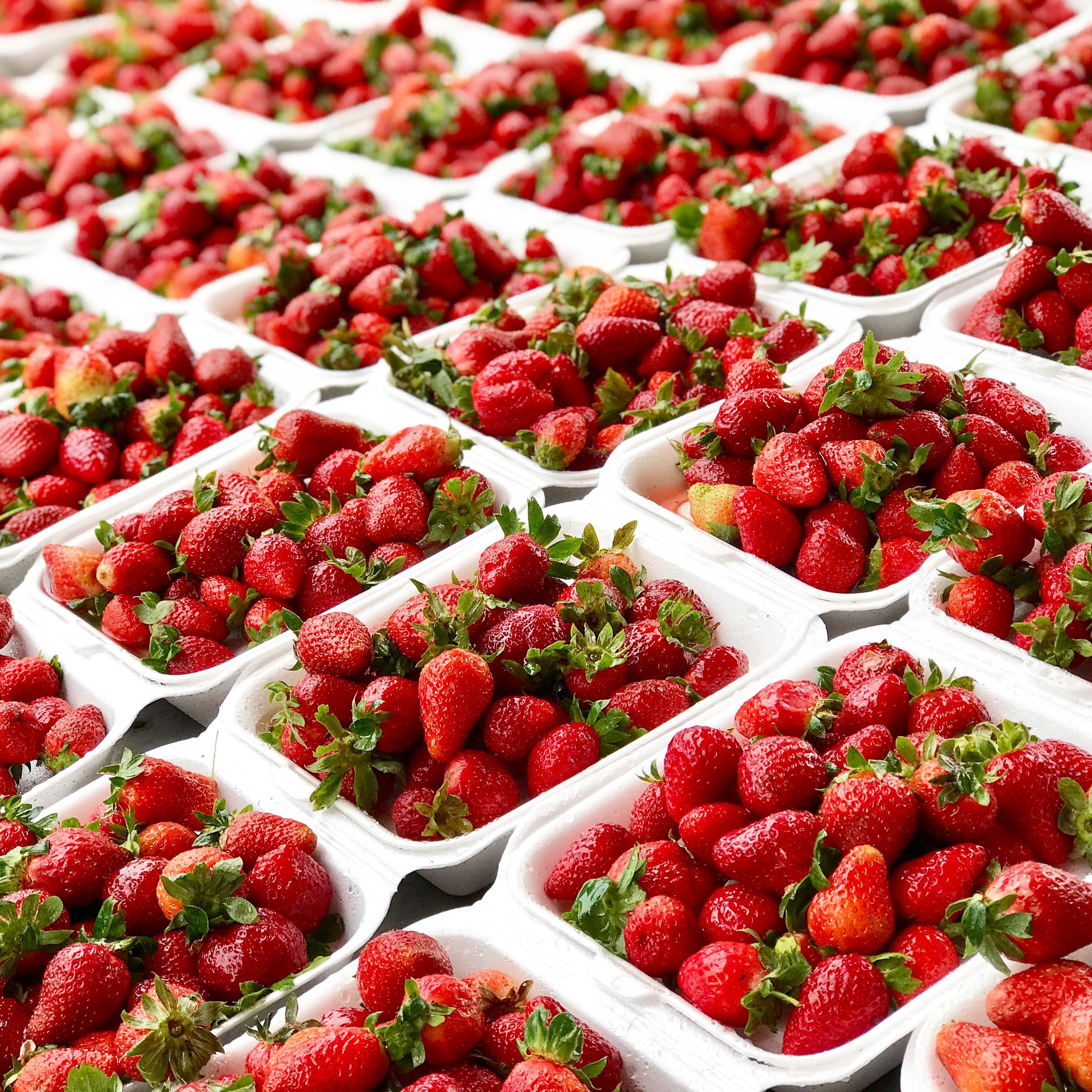 Punnets of strawberries. | Pexels