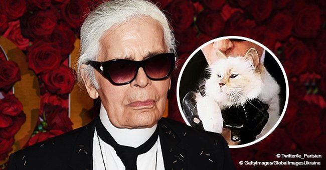 Karl Lagerfeld a nommé son chat Choupette héritière
