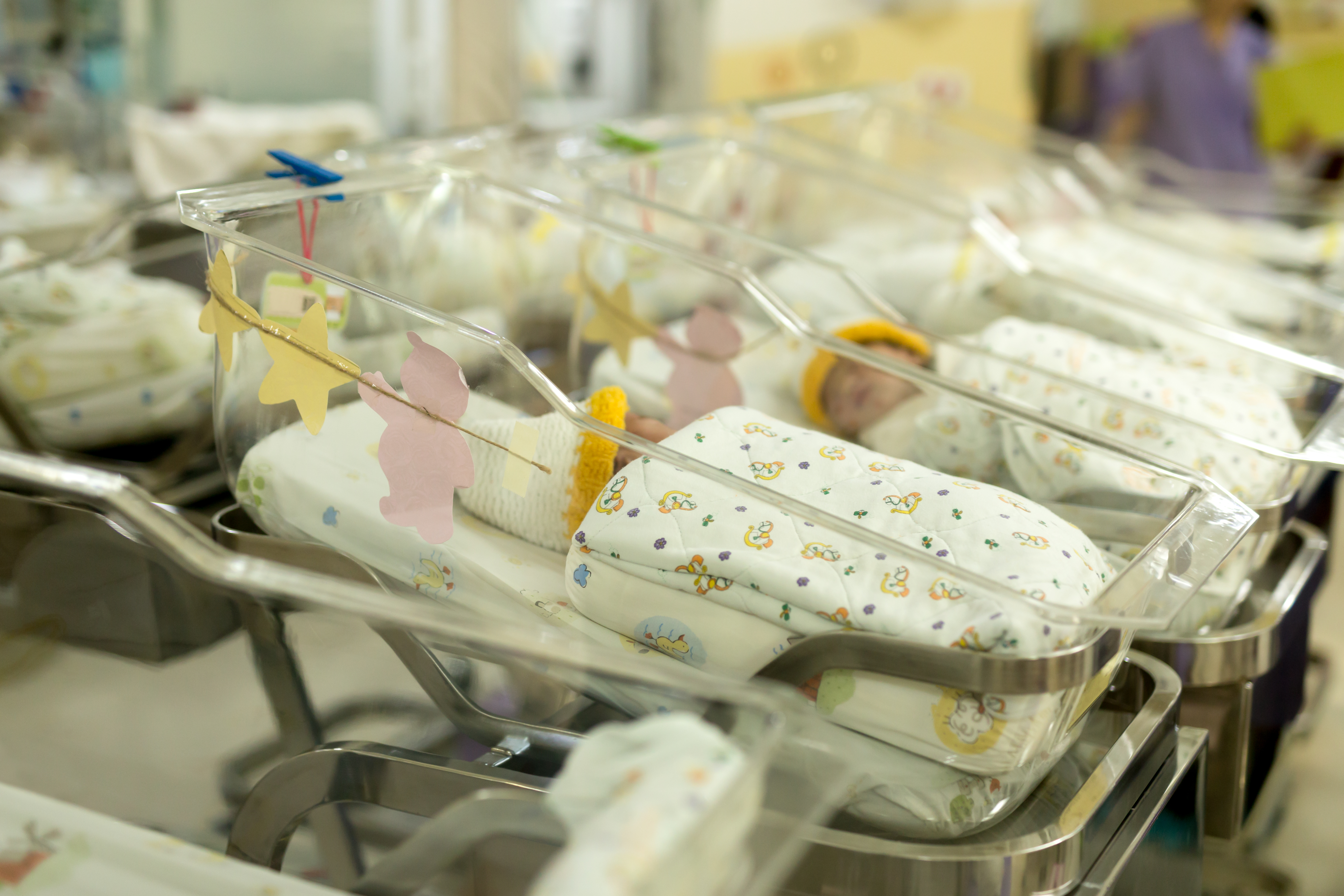 Newborn babies in a hospital nursery | Source: Shutterstock