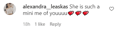 Screenshot of a fan comment on Chrissy Teigen's photo of herself and Luna Stephens.| Source: Instagram/chrissyteigen