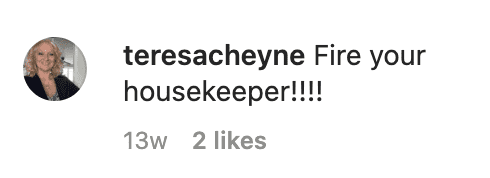 Comments under a picture posted by Roseanne Barr about her home | Instagram.com\\\\\\\\Roseanne Barr