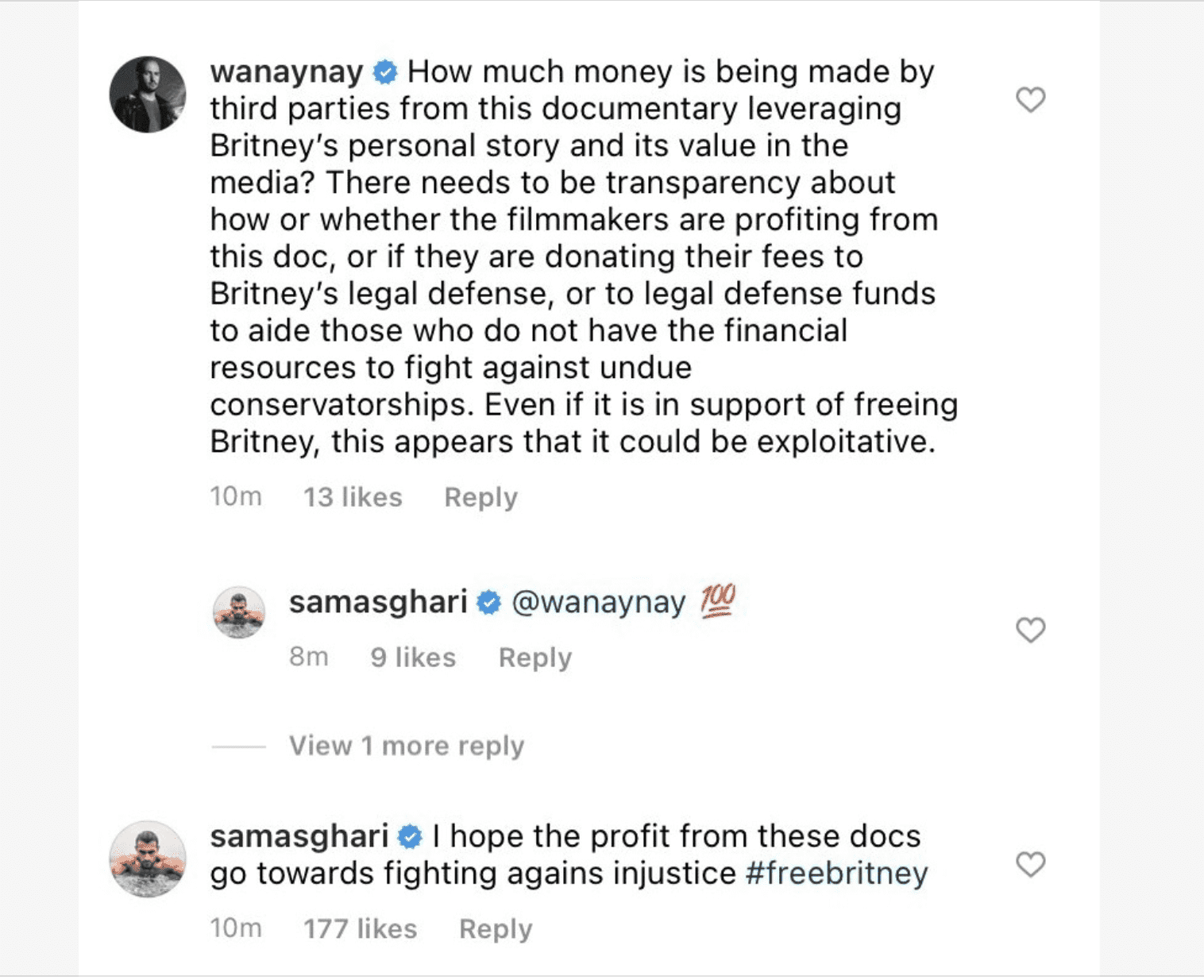 Comments made by Bobby Campbell and Britney fans on the Netflix documentary announcement post on Instagram | Photo: Instagram @netflix