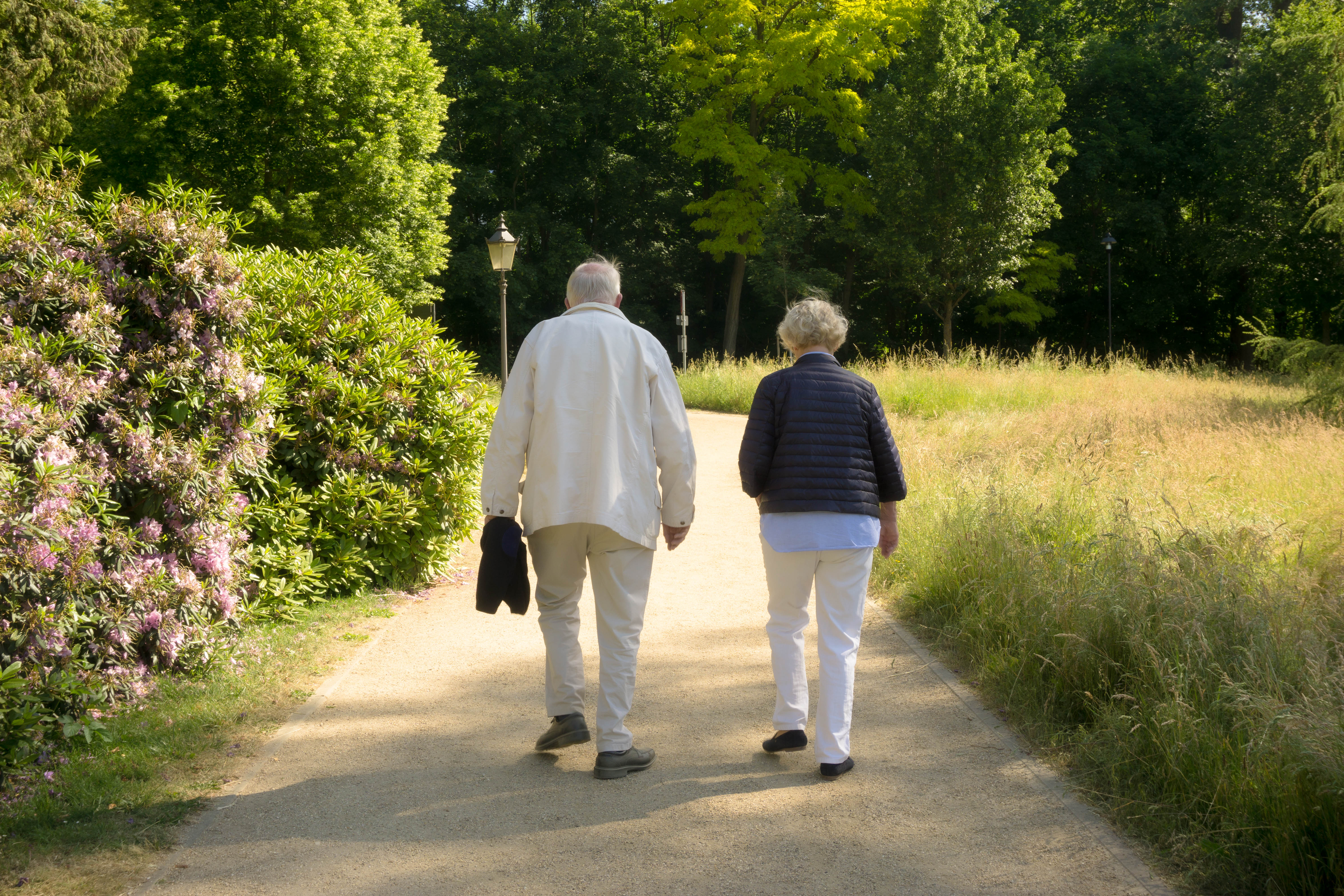 Elderly couple walking on a road. | Source: Shutterstock
