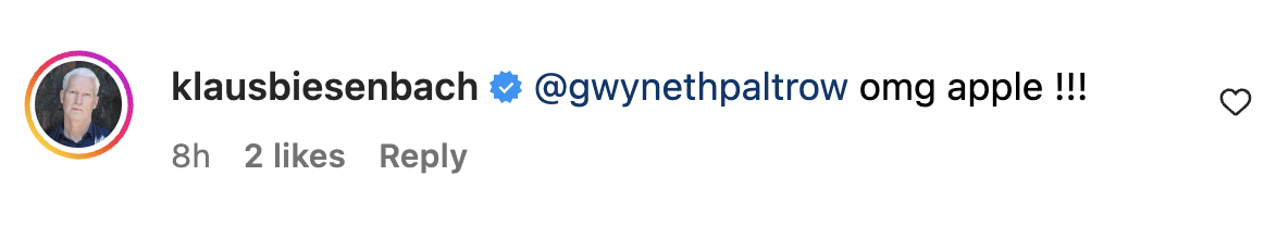 A fan comment on Gwyneth Paltrow's Instagram post dated November 2023 | Source: Instagram.com/gwynethpaltrow