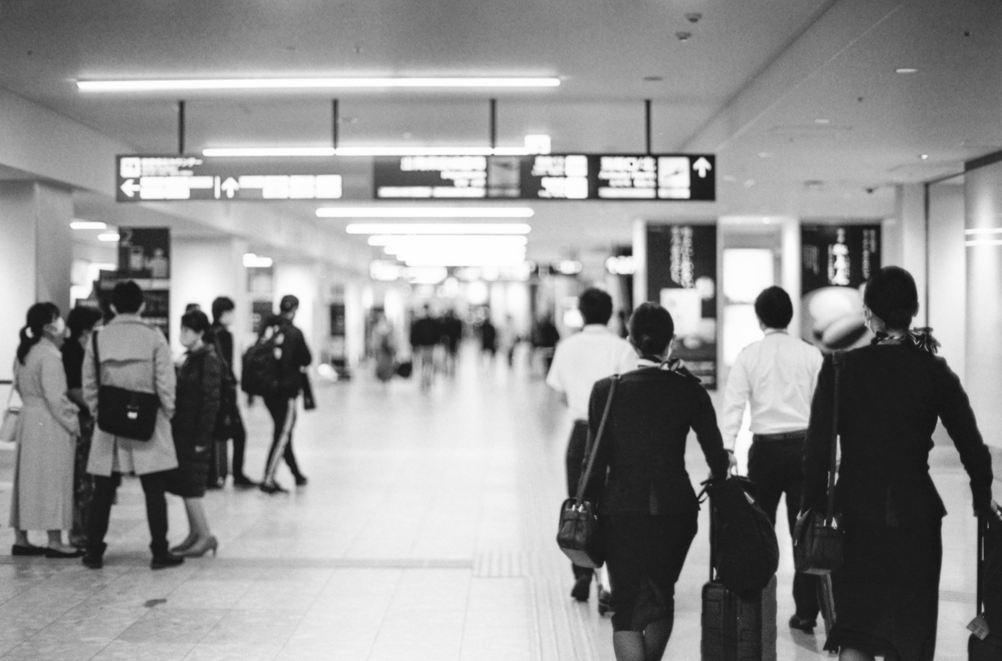 Gente caminando dentro de un aeropuerto  | Foto: flickr.com
