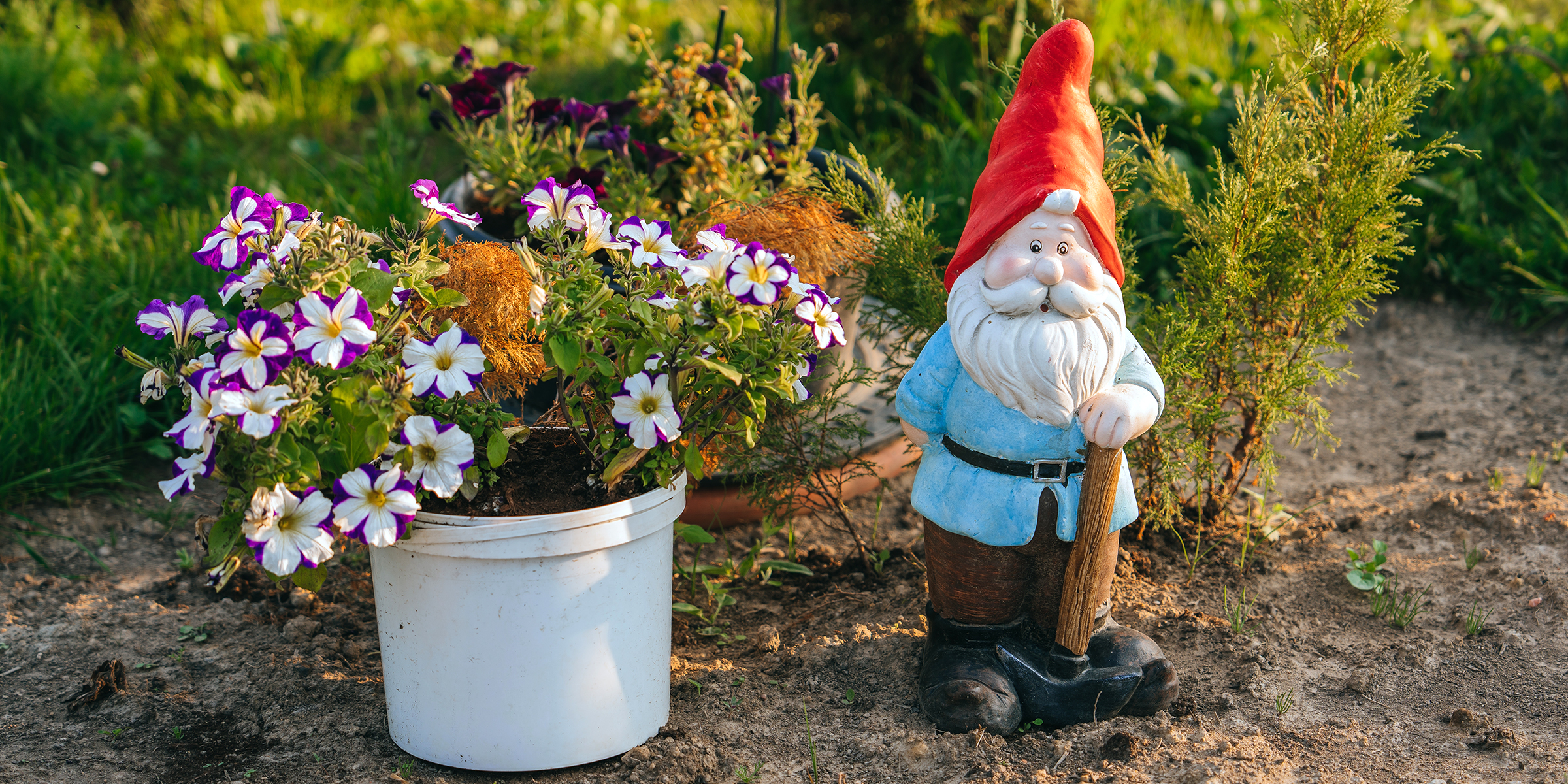 A garden gnome next to some flowers | Source: Shutterstock