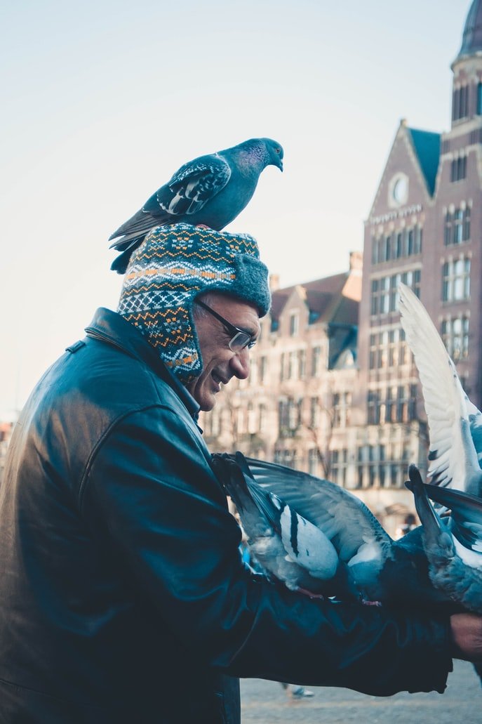 There was nothing Jeremy loved more than feeding the pigeons | Source: Unsplash