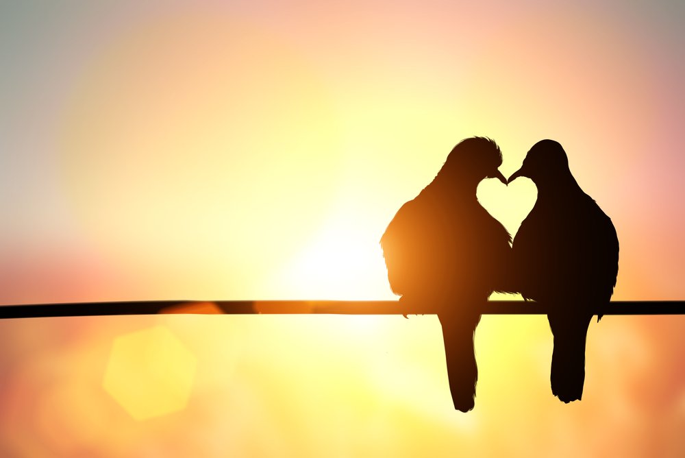 Silueta de aves formando un corazón.| Fuente: Shutterstock Silueta de aves formando un corazón.| Fuente: Shutterstock