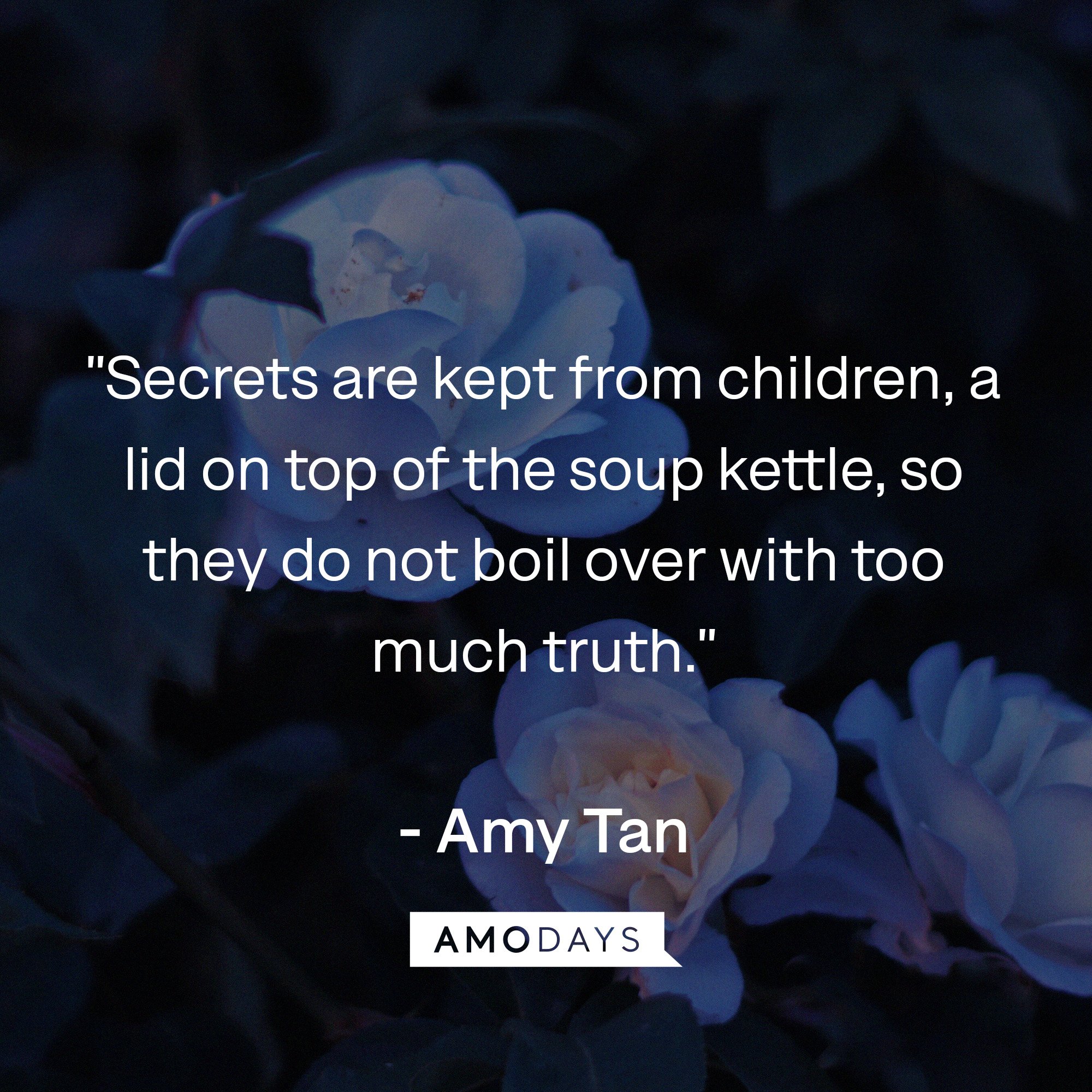  Amy Tan's quotes: "Secrets are kept from children, a lid on top of the soup kettle, so they do not boil over with too much truth."   | Image: AmoDays