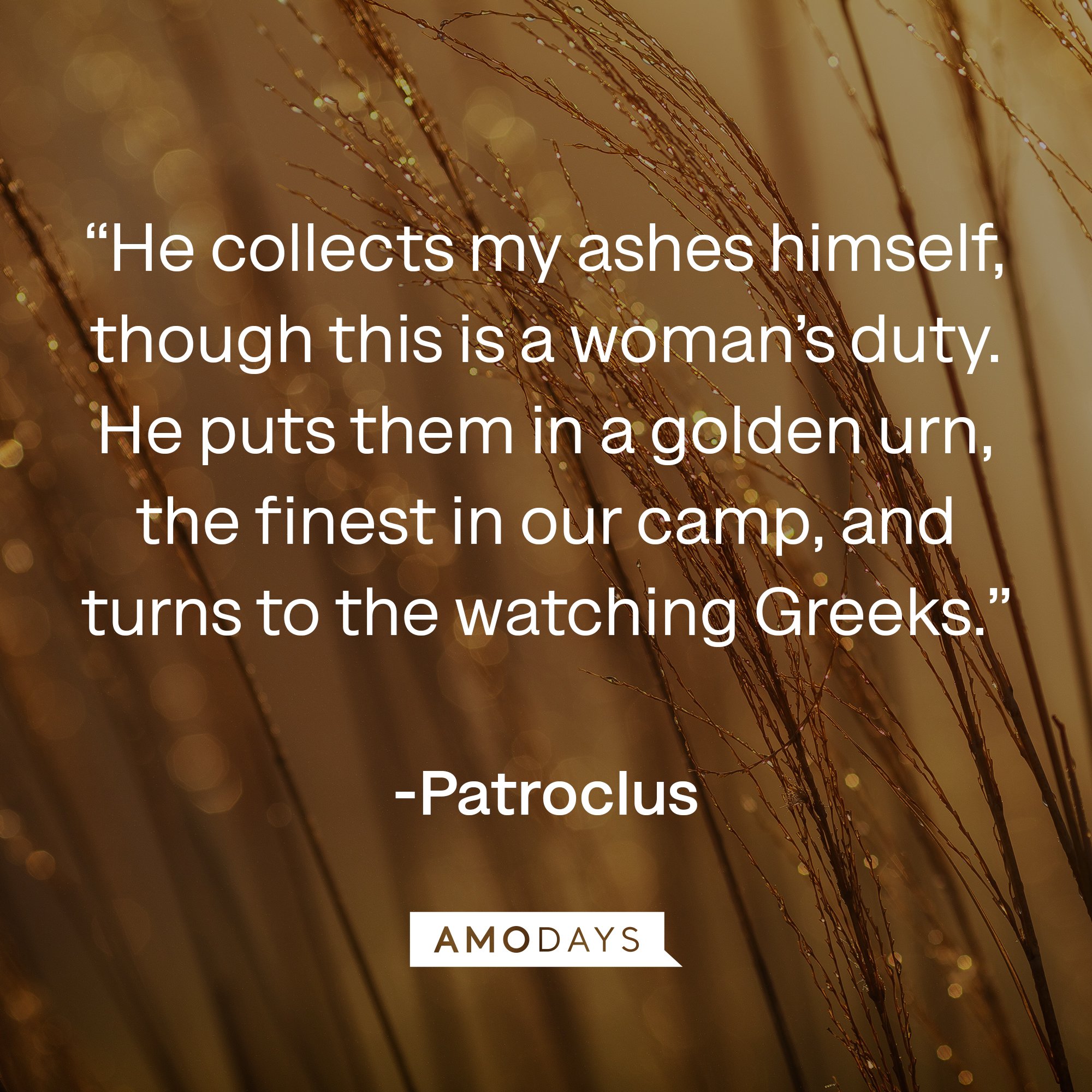  Patroclus's quote: “He collects my ashes himself, though this is a woman’s duty. He puts them in a golden urn, the finest in our camp, and turns to the watching Greeks.” | Image: AmoDays