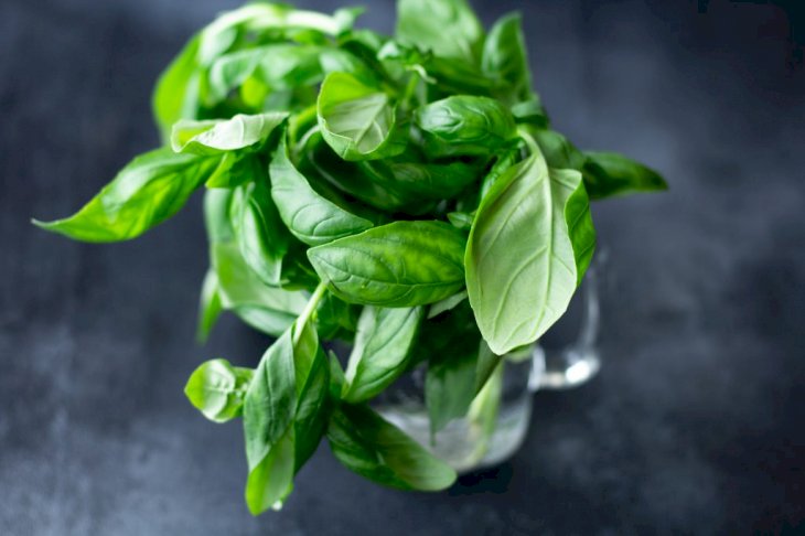 Christina Rumpf on Unsplash