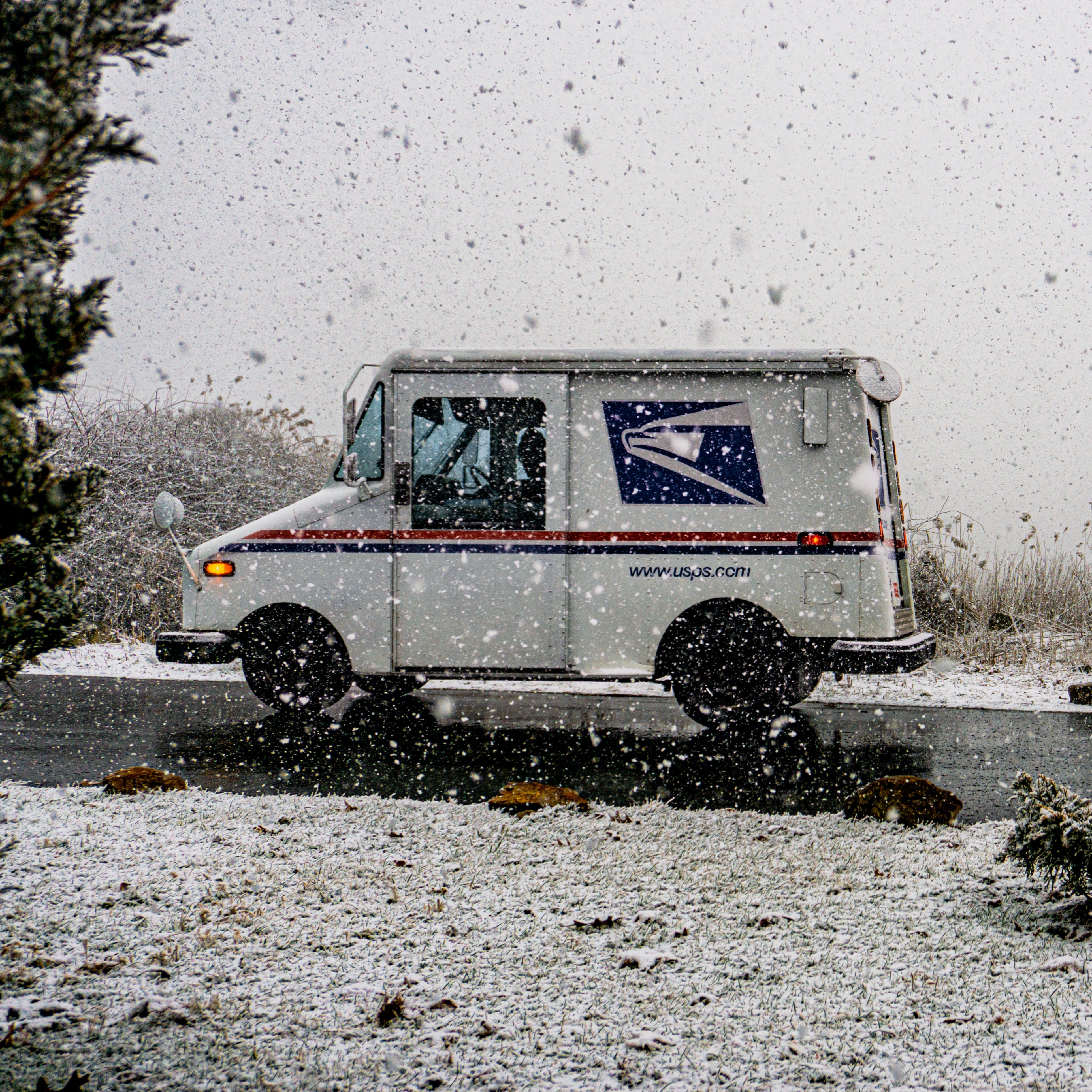 Her mailman, Sam, was right outside delivering her latest bill. | Source: Unsplash
