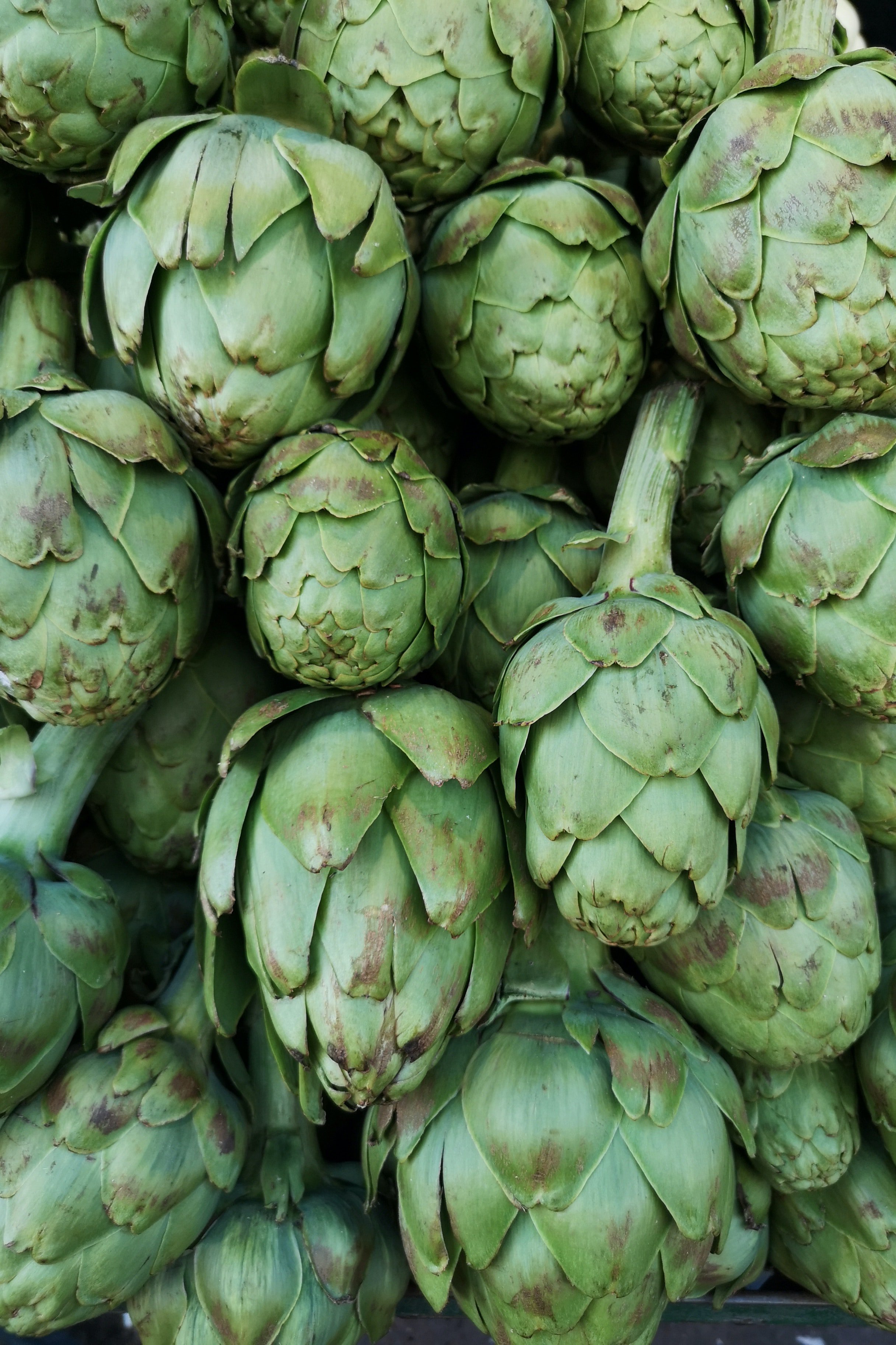 Image of uncooked artichokes | Photo: Pexels