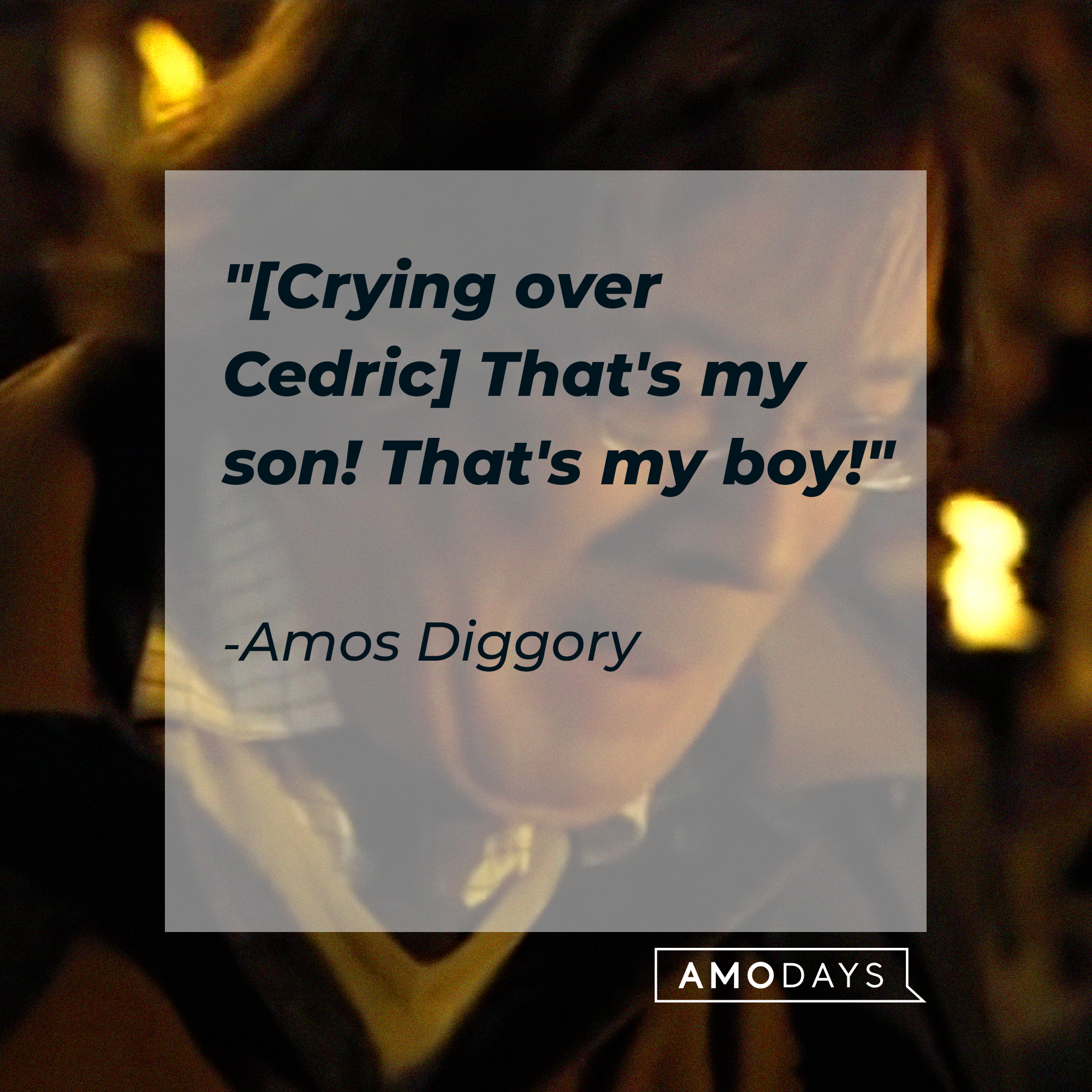 A photo of Amos Diggory with his quote, "[Crying over Cedric] That's my son! That's my boy!" | Source: YouTube/harrypotter