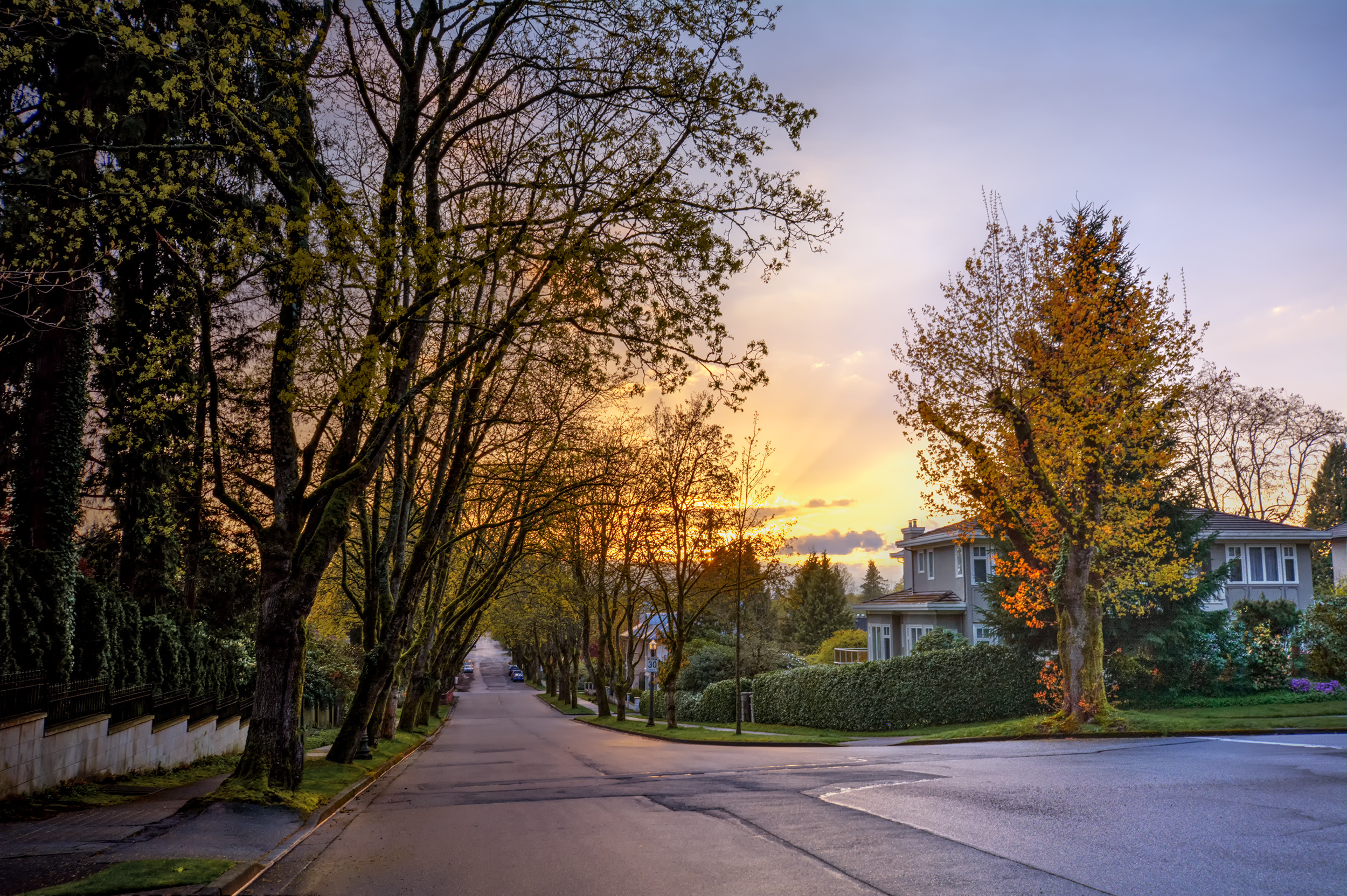 Serene suburban street | Source: Shutterstock