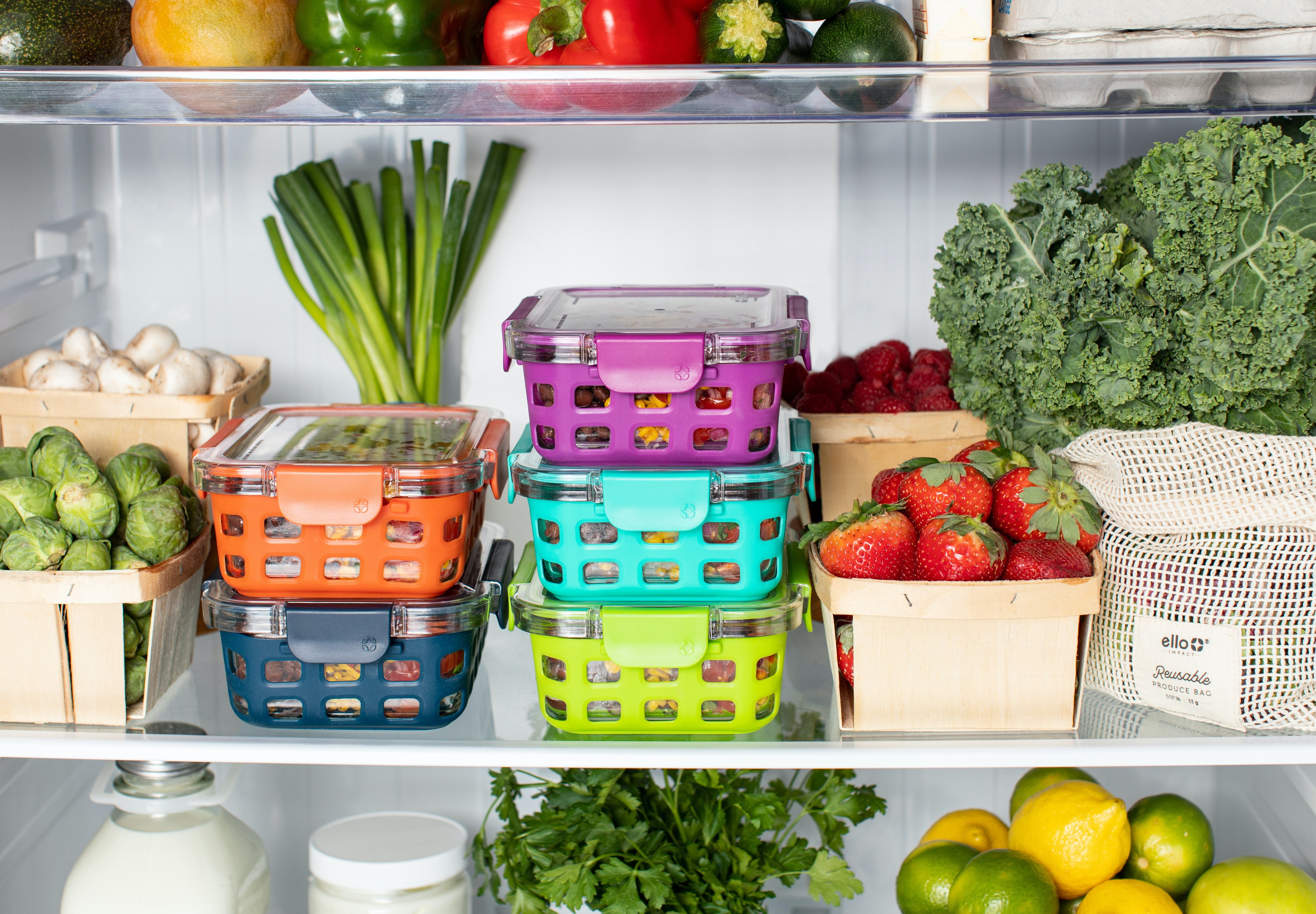 Food in refrigerator | Shutterstock