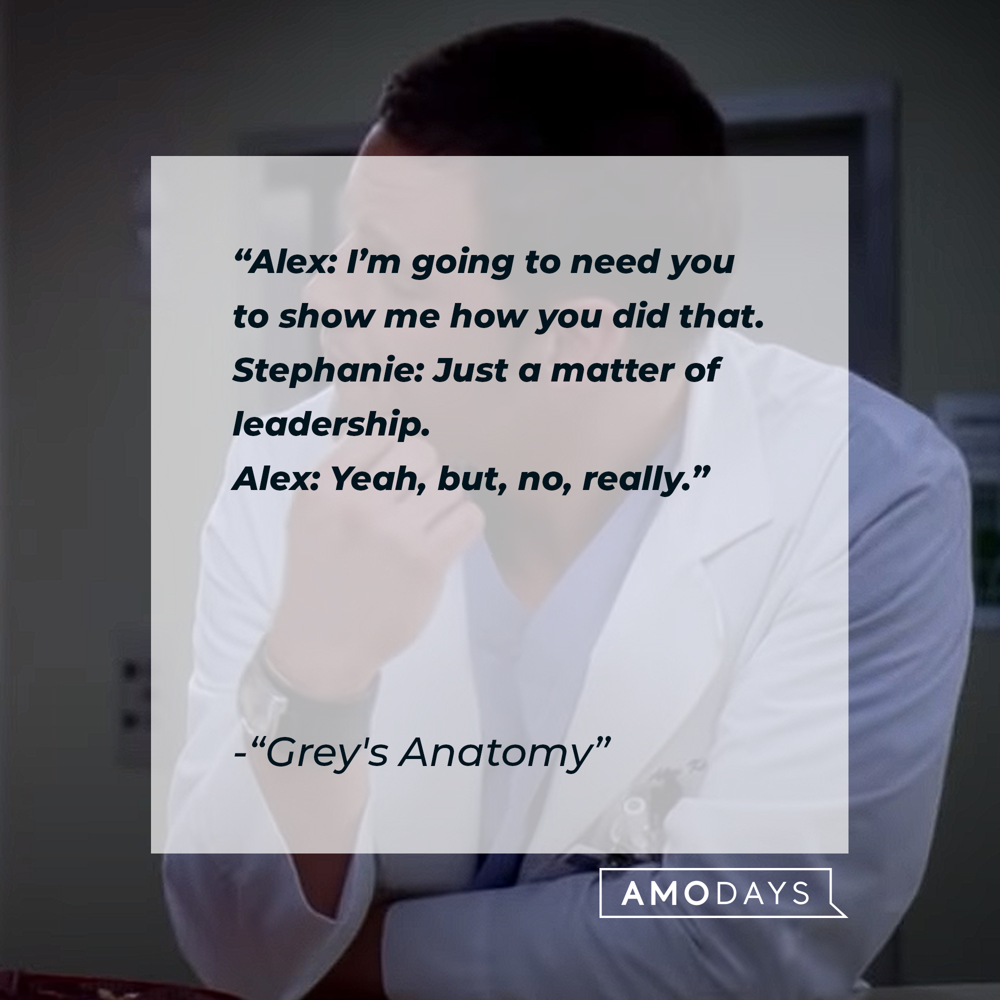 Quote from “Grey’s Anatomy”: “Alex: I’m going to need you to show me how you did that. Stephanie: Just a matter of leadership. Alex: Yeah, but, no, really.” | Source: youtube.com/ABCNetwork